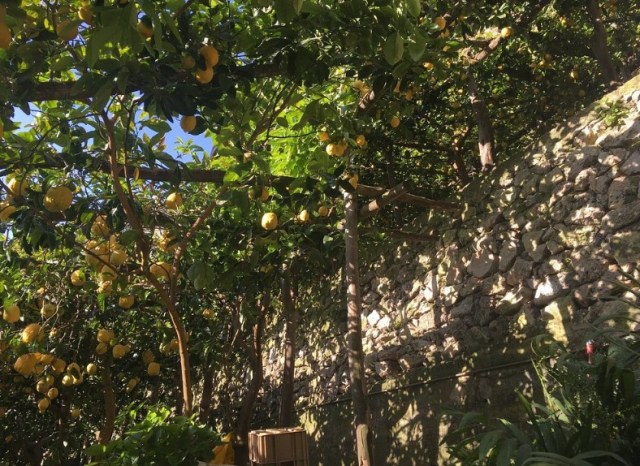 AMalfiLePERHOLAA D.jpg