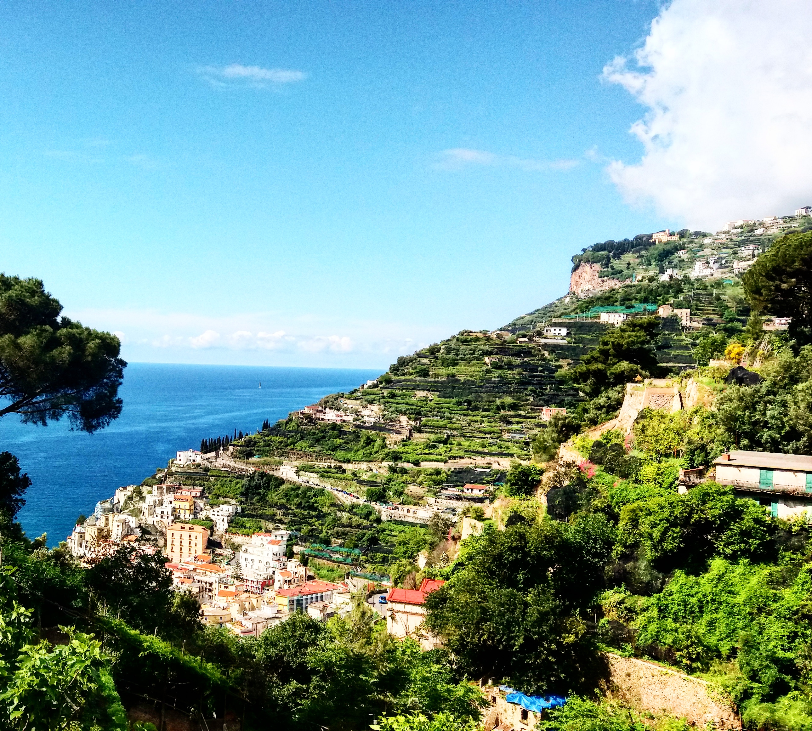 MiioriSalerno 336.jpg