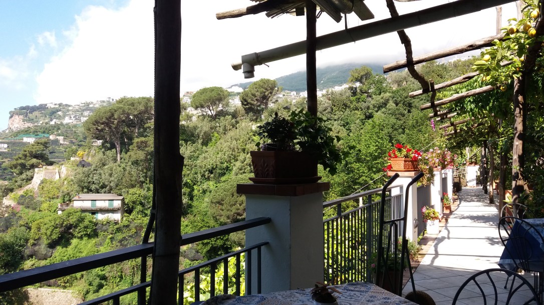 MiioriSalerno 342.jpg