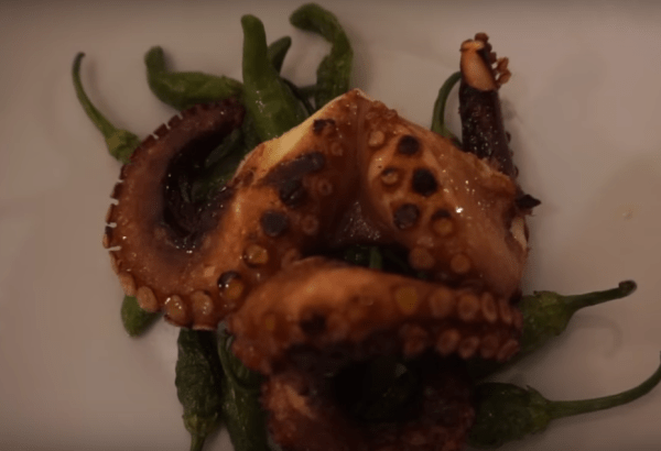 DaVINCENZoPOLPOpeppers