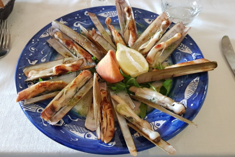 Screenshot 2019-10-16 at 2.14.07 PM.png